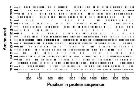 amino acid map