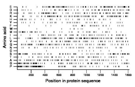 amino acid map