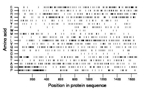 amino acid map