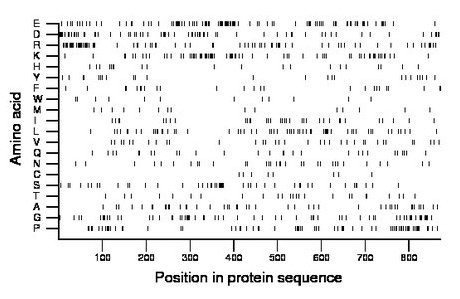 amino acid map