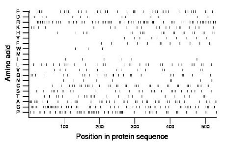 amino acid map