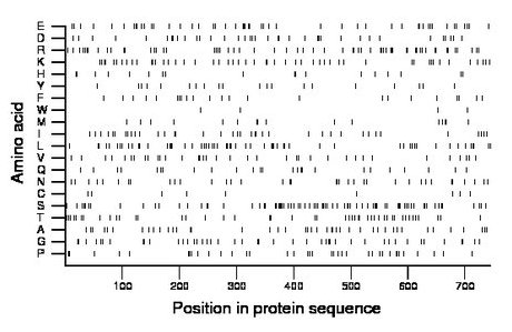 amino acid map