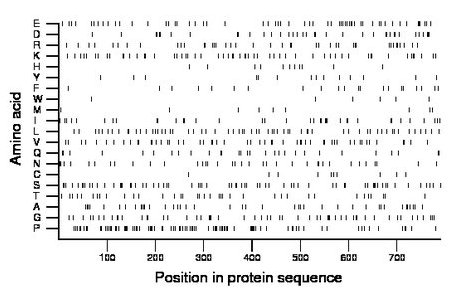 amino acid map