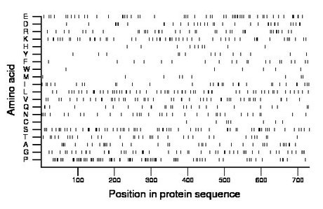 amino acid map