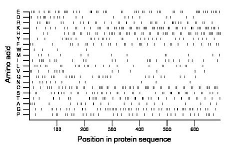 amino acid map