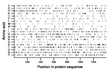 amino acid map