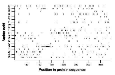 amino acid map