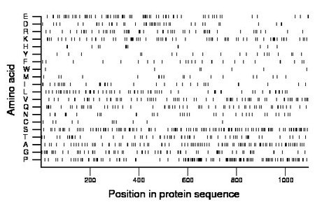 amino acid map