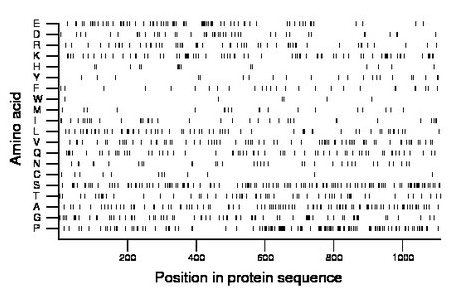 amino acid map