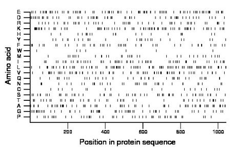 amino acid map