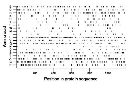 amino acid map