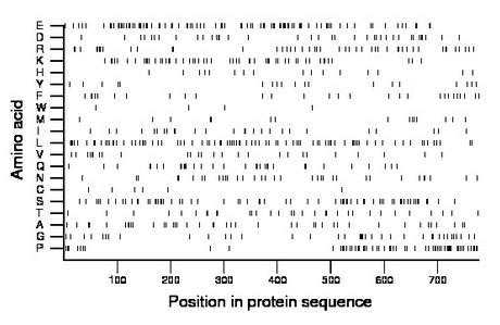 amino acid map