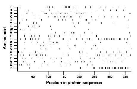 amino acid map