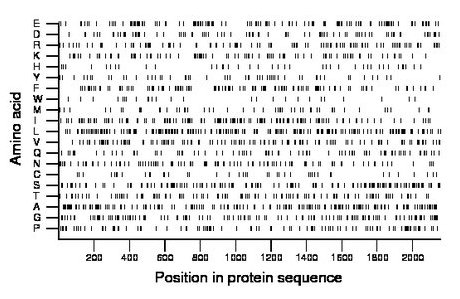 amino acid map