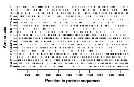 amino acid map