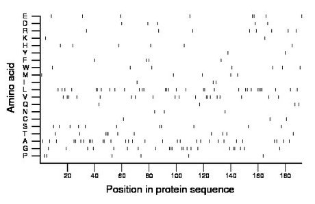 amino acid map