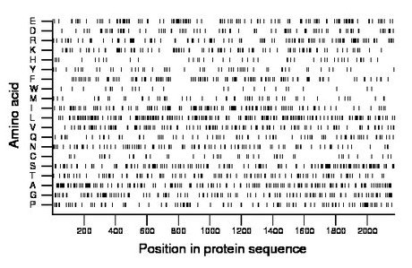 amino acid map