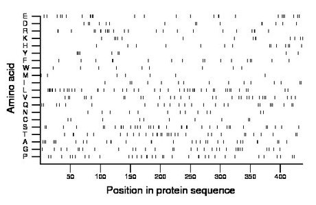 amino acid map