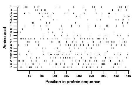 amino acid map