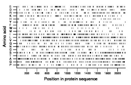 amino acid map