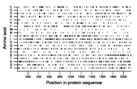 amino acid map