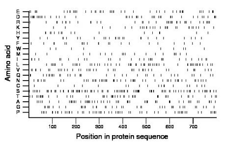 amino acid map