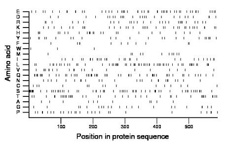 amino acid map