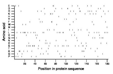 amino acid map