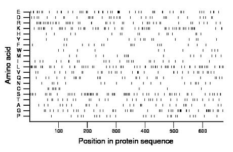 amino acid map