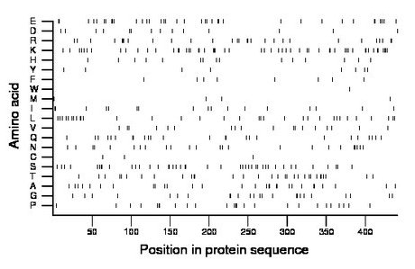 amino acid map