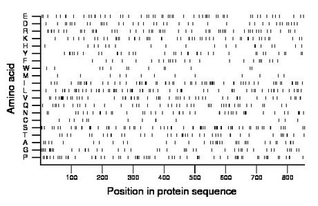 amino acid map