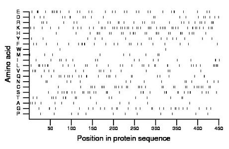 amino acid map