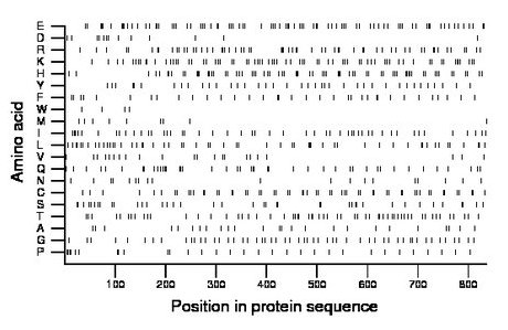 amino acid map