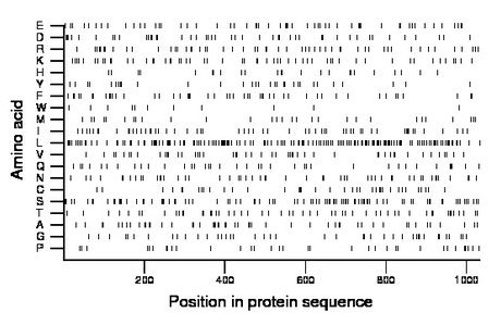 amino acid map