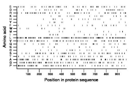 amino acid map