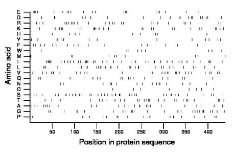 amino acid map