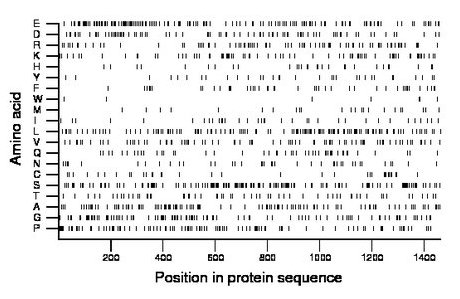 amino acid map