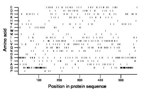 amino acid map