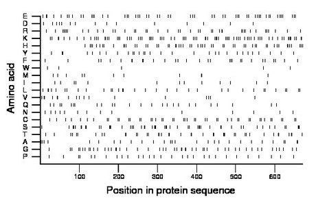 amino acid map