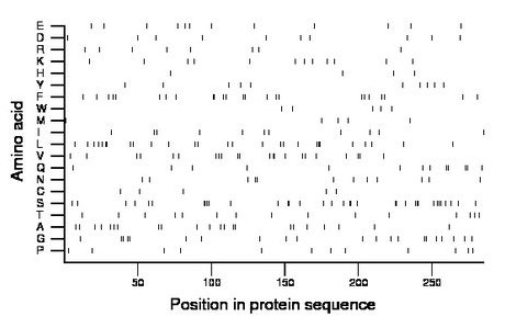 amino acid map