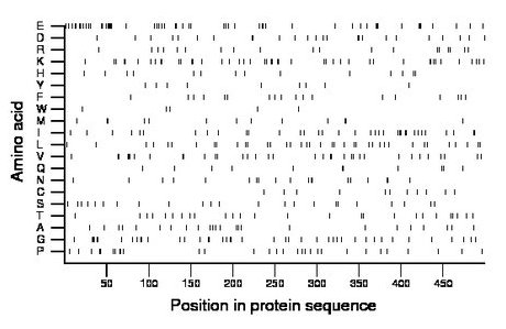 amino acid map