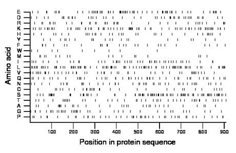 amino acid map