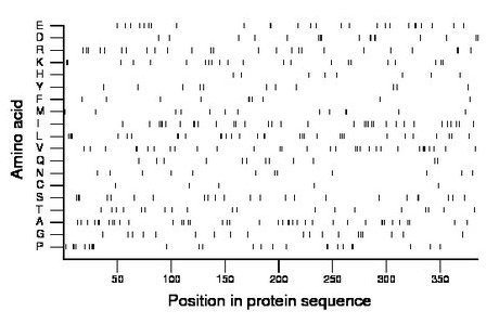 amino acid map