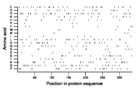 amino acid map