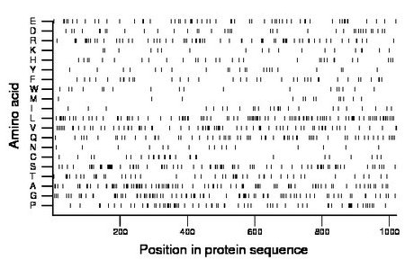 amino acid map