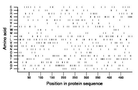 amino acid map