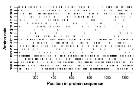 amino acid map