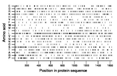 amino acid map