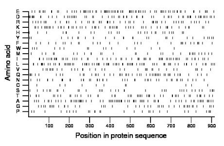 amino acid map