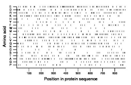 amino acid map